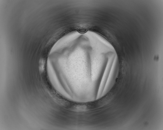 X0000112790075200909111222