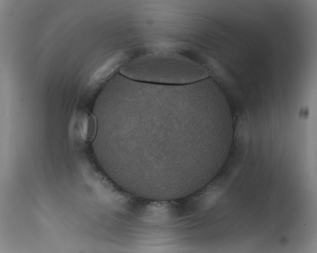 X0000112790076200909111222