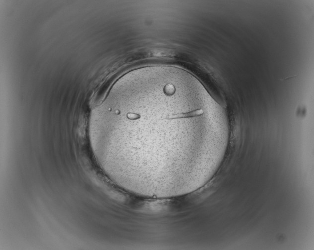 X0000112790078200909111222