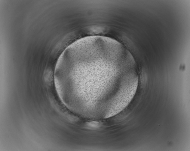 X0000112790079200909111222