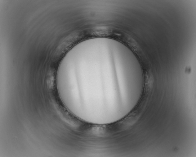 X0000112790080200909111222