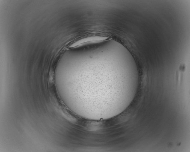 X0000112790081200909111222