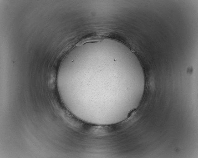 X0000112790082200909111222