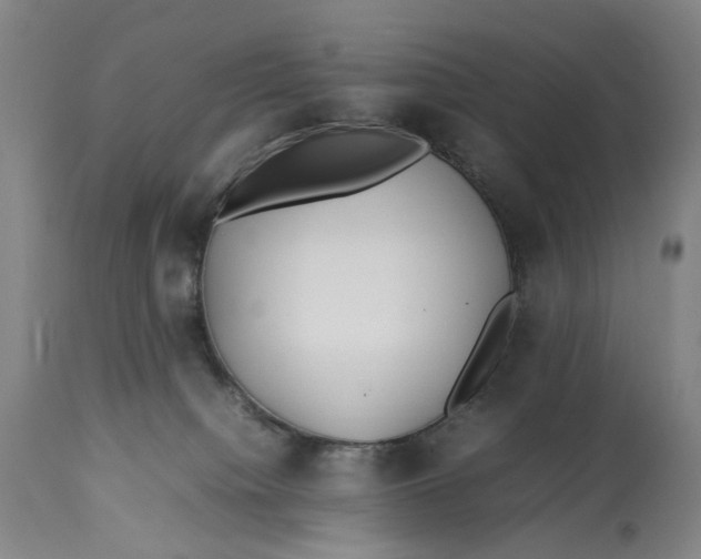 X0000112790084200909111222