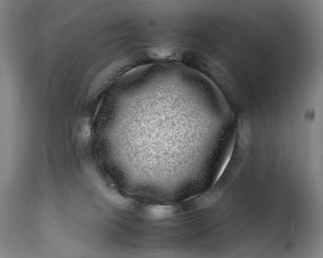 X0000112790085200909111222