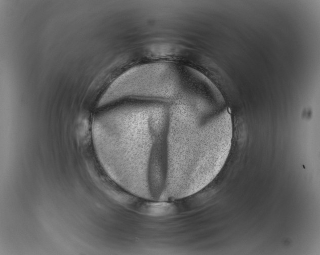 X0000112790087200909111222