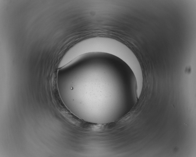 X0000112790092200909111222