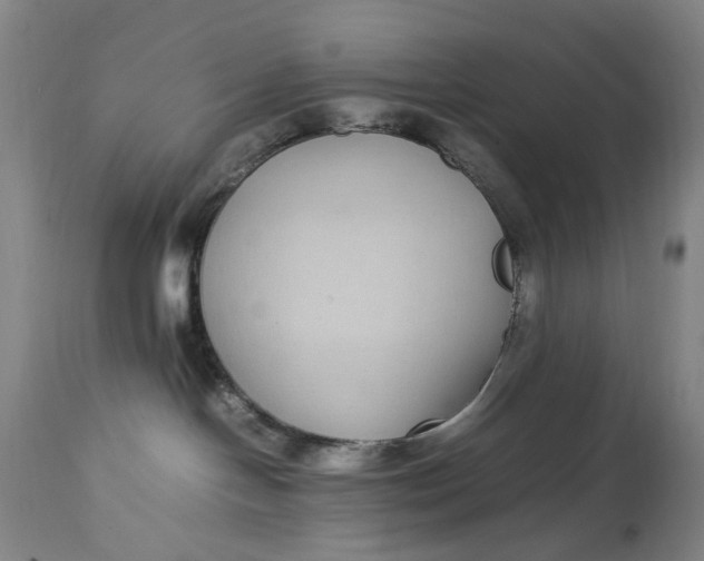 X0000112790094200909111222