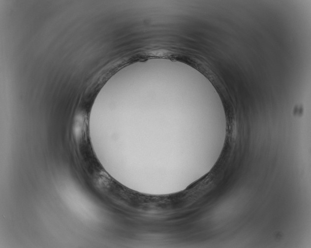 X0000112790095200909111222