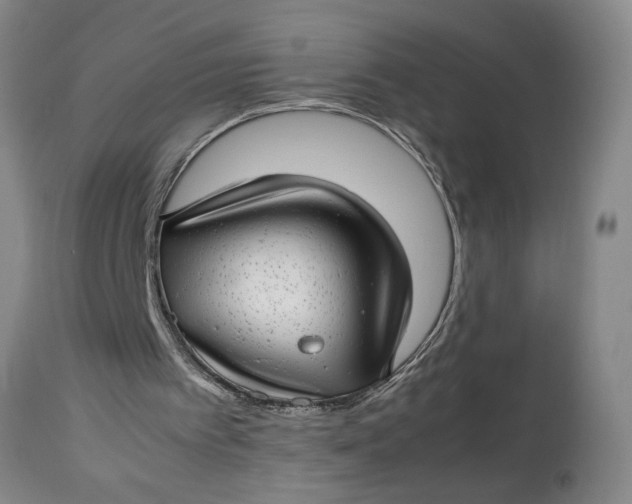 X0000112790097200909111222