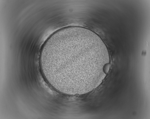 X0000112790098200909111222