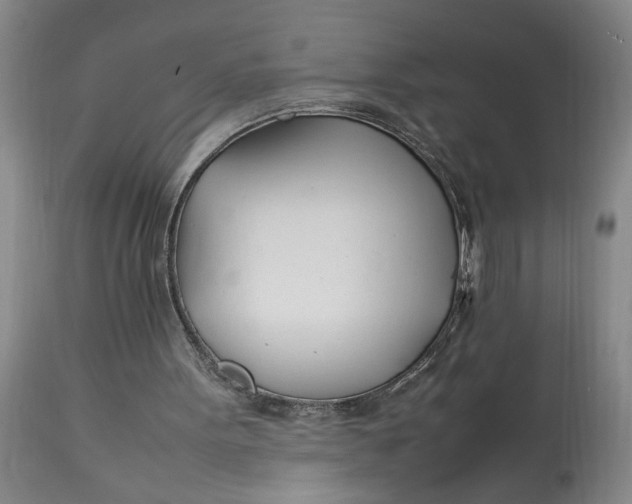 X0000112790099200909111222