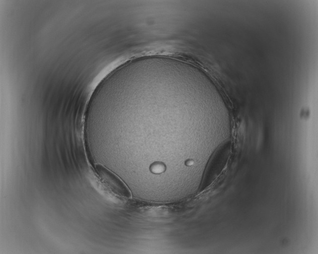 X0000112790100200909111222