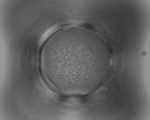 X0000112790101200909111222