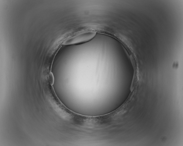 X0000112790105200909111222