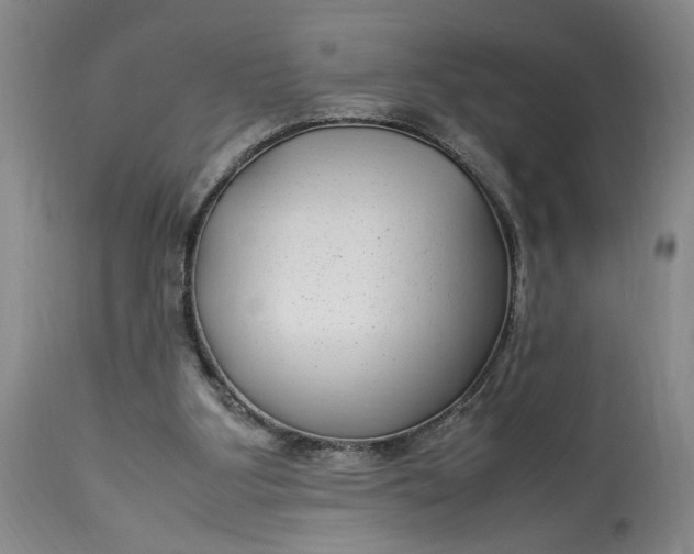 X0000112790107200909111222