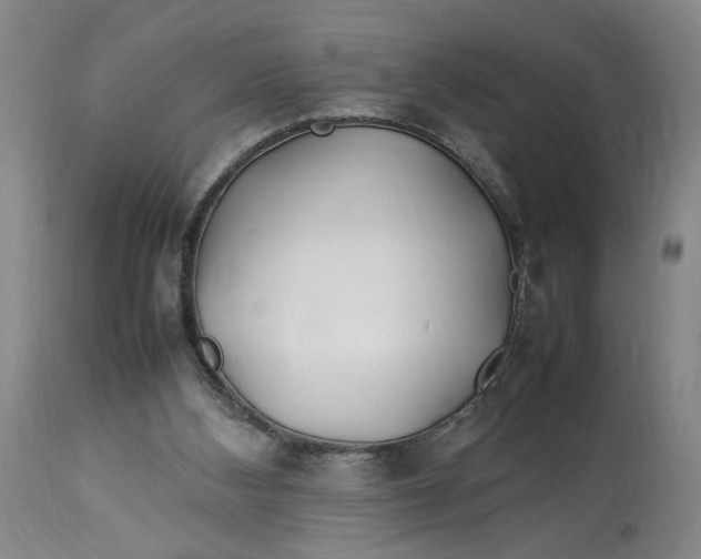 X0000112790108200909111221