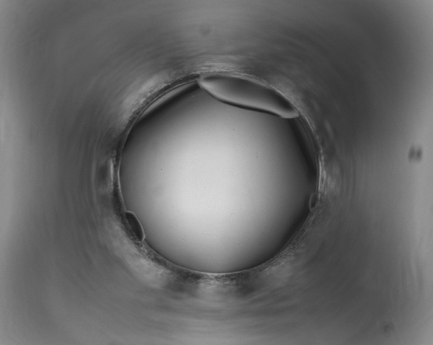 X0000112790109200909111221