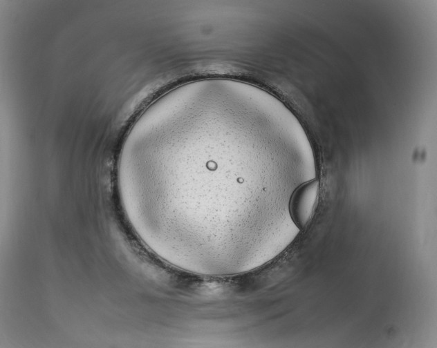 X0000112790111200909111221