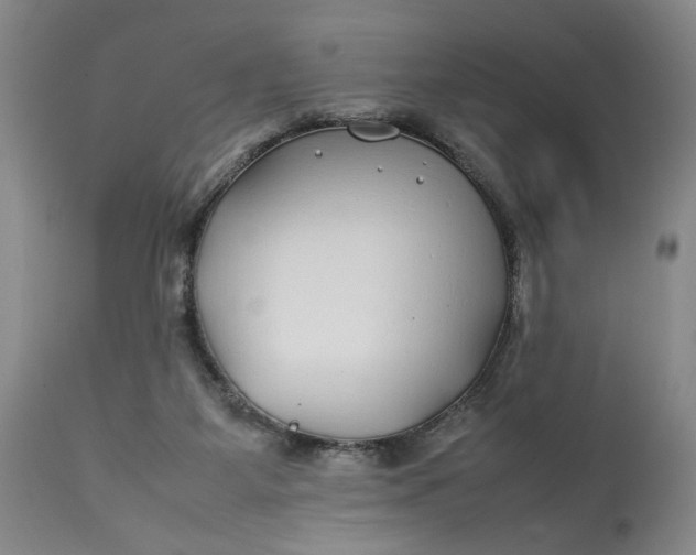 X0000112790115200909111221