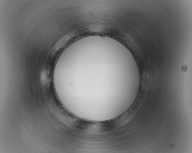 X0000112790116200909111221