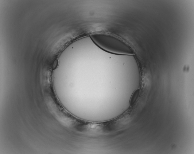 X0000112790117200909111221