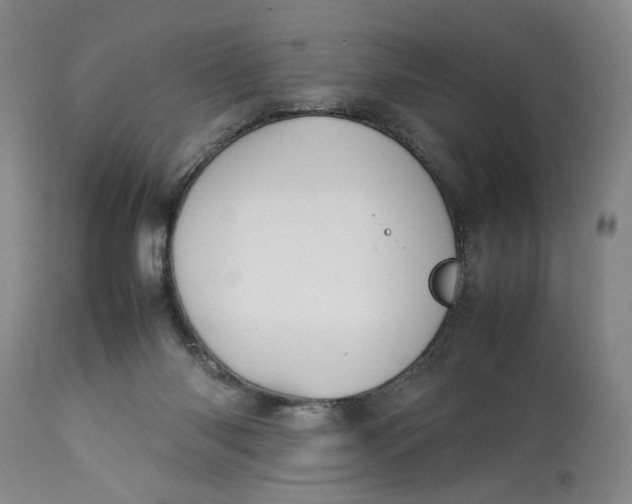 X0000112790118200909111221