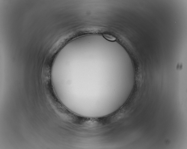 X0000112790119200909111221