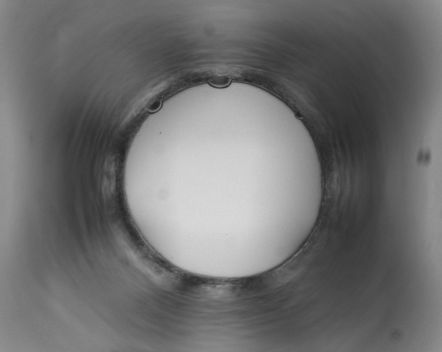 X0000112790120200909111221