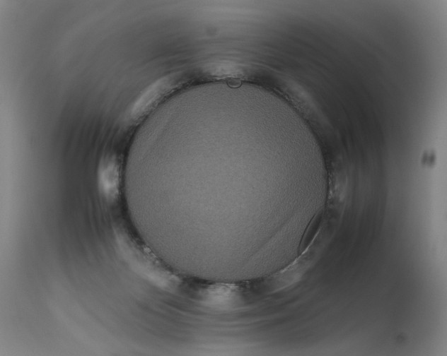 X0000112790124200909111221