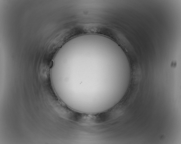 X0000112790125200909111221