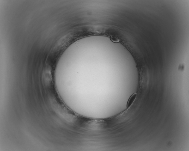 X0000112790128200909111221