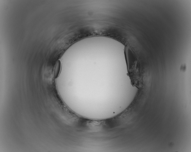 X0000112790129200909111221