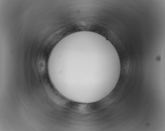 X0000112790130200909111221