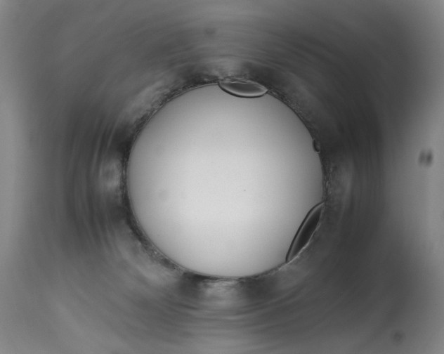 X0000112790132200909111221