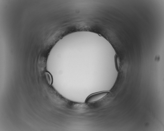 X0000112790133200909111221