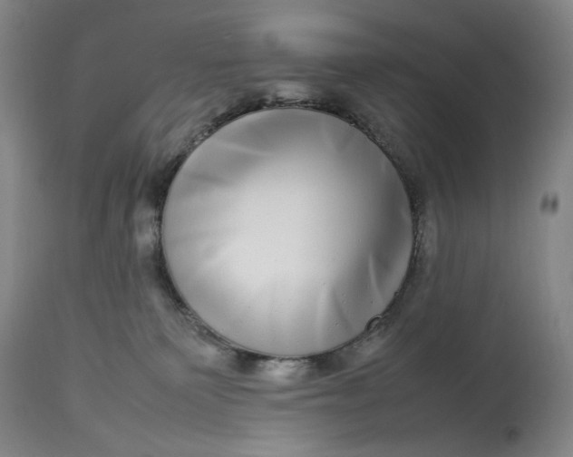 X0000112790135200909111221