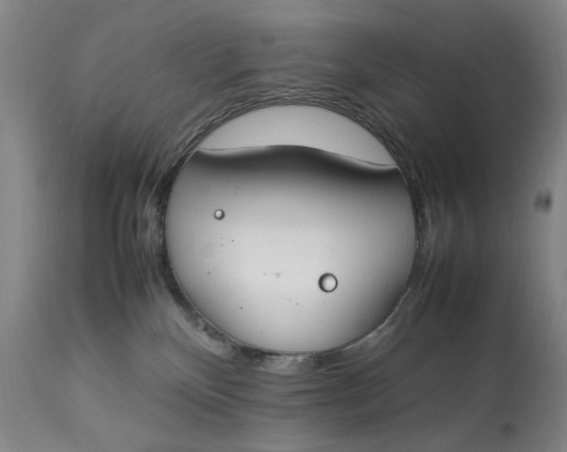 X0000112790136200909111221