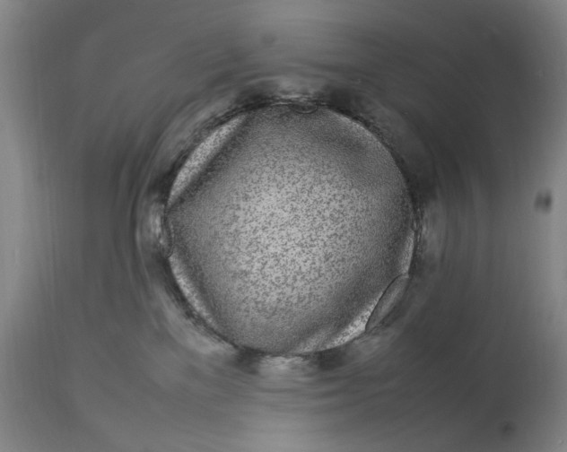 X0000112790137200909111221