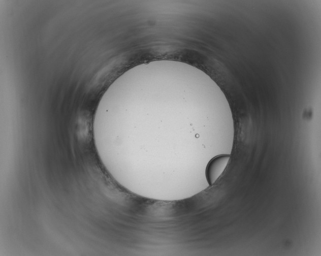 X0000112790138200909111221