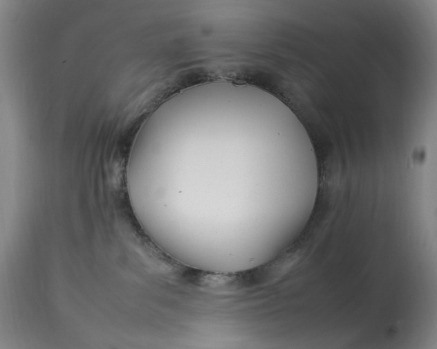 X0000112790139200909111221