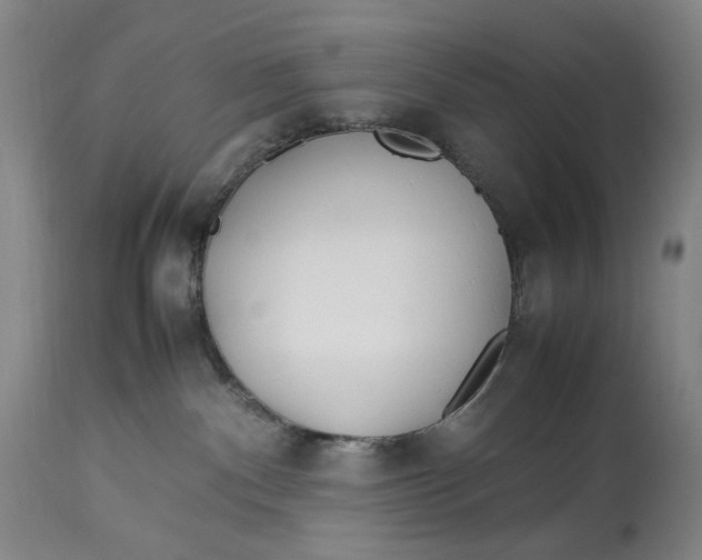 X0000112790140200909111221