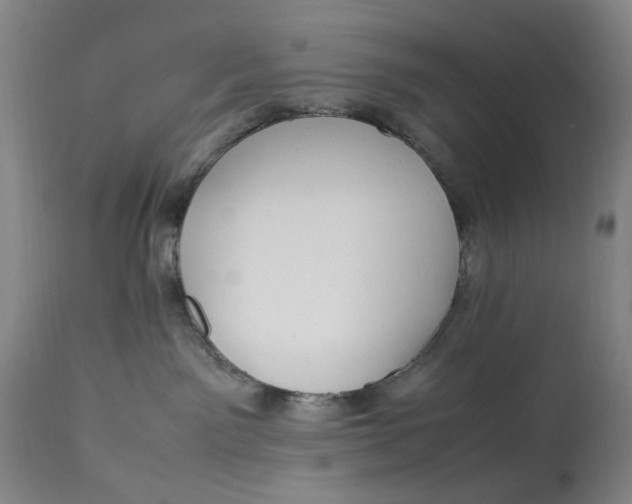 X0000112790141200909111221