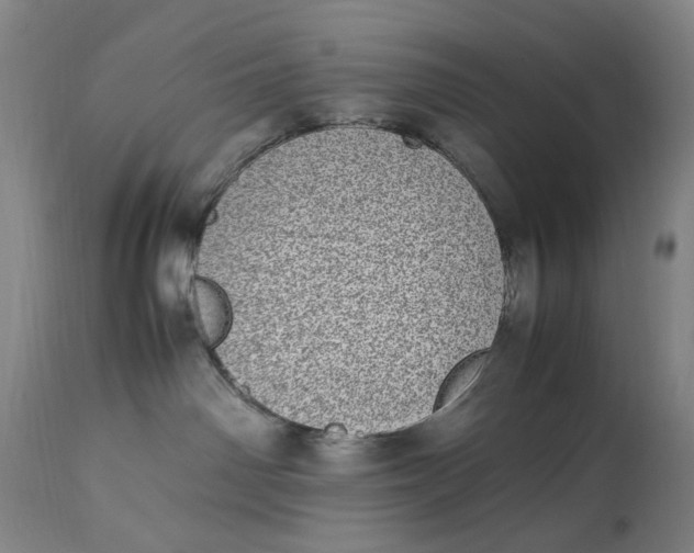 X0000112790142200909111221