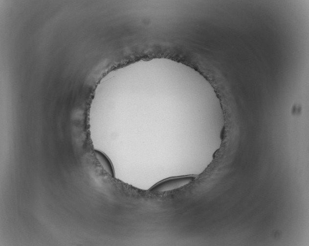 X0000112790144200909111221