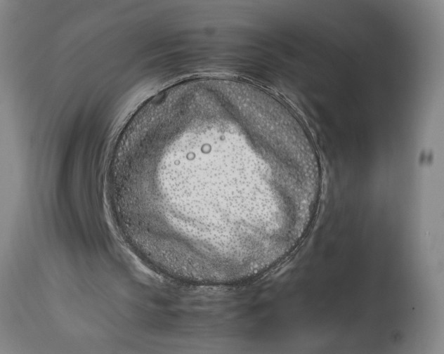 X0000112790145200909111220