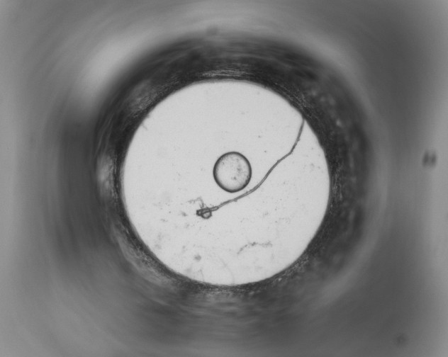 X0000112790146200909111220