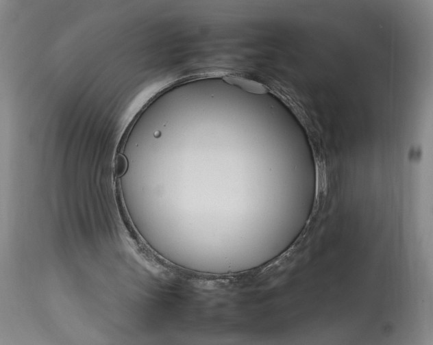 X0000112790147200909111220