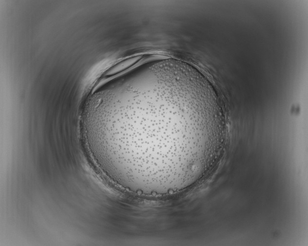 X0000112790149200909111220