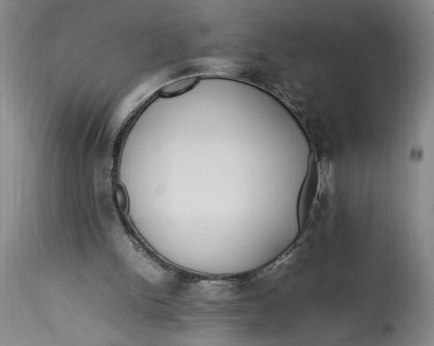 X0000112790150200909111220